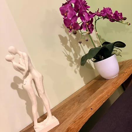 Avec Parking Prive Le Gambetta Apartamento *